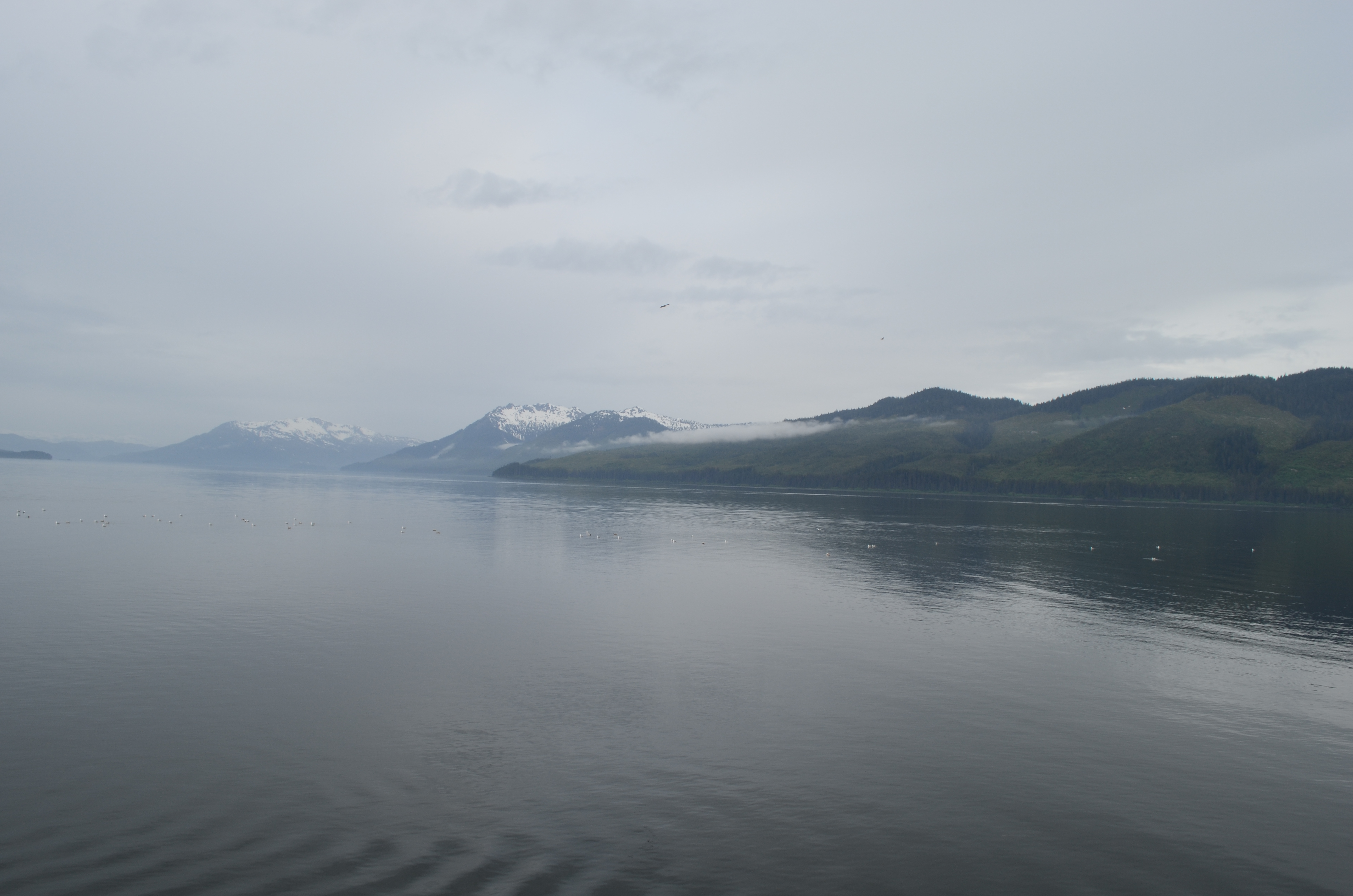 ./2017/08 - Alaska Cruise/10 - Icy Strait Point/DSC_0235.JPG